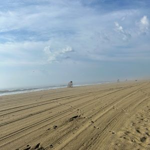 Meet your Posher, Adelayde